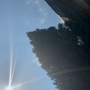 Meet your Posher, Phlyn•Bundle for the Best Buys